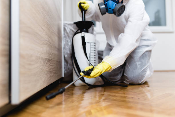 Best Ant Control Services  in Waimea, HI
