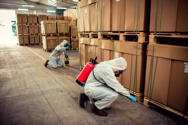 Best Flea Control Services  in Waimea, HI