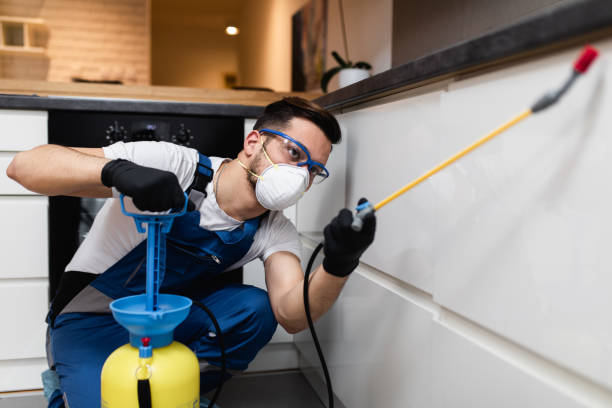 Best Bed Bug Extermination  in Waimea, HI