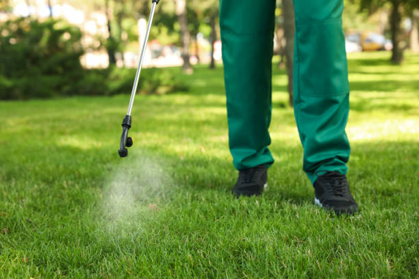 Trusted Waimea, HI Pest Control Experts