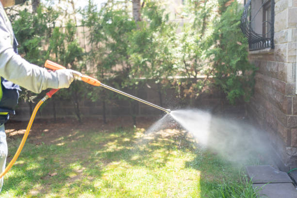 Best Commercial Pest Control Services  in Waimea, HI