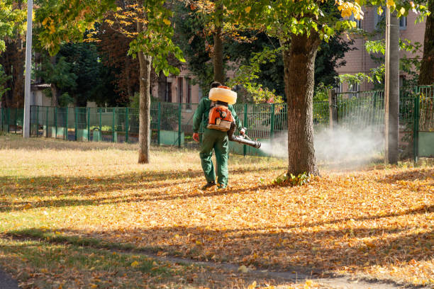Best Local Pest Control Services  in Waimea, HI